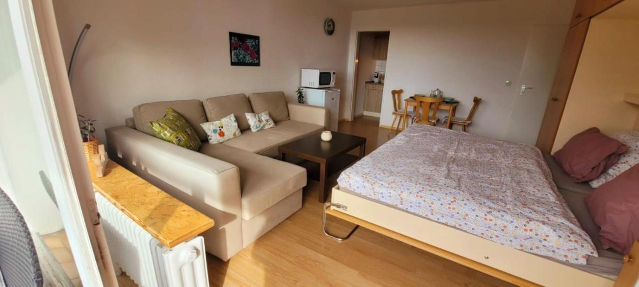 Maria Altreichenau Apartment Neureichenau Bagian luar foto